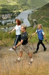 Nordic Walking durch die Weinberge Nordic Walking durch die Weinberge