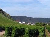Mosel, Urlaub, Wein und mehr Mosel, Urlaub, Wein und mehr