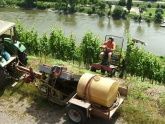 Arbeiten im Weinberg Arbeiten im Weinberg
