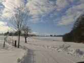 Winterlandschaft Winterlandschaft