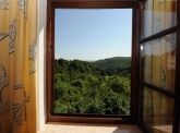 Blick aus Studio Blick aus Studio