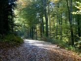Wanderweg Wanderweg