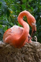 Zoo Neuwied Zoo Neuwied