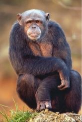 Zoo Neuwied Zoo Neuwied