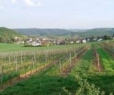 Gasthaus Zur Rotenfelsstube Gasthaus Zur Rotenfelsstube