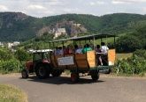 Weinbergsrundfahrten an der Mosel Weinbergsrundfahrten an der Mosel