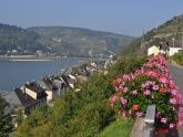 Ferienwohnung Breitbach mit Rheinblick