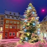 Hotel Well Garni Hotel Well Garni