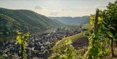 Weingut Haupts Alte Winzerstube an der Mosel Weingut Haupts Alte Winzerstube an der Mosel