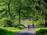Ferienwohnung Dörr am Wiesensee Ferienwohnung Dörr am Wiesensee