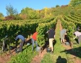 Weingut und Gästehaus Julianenhof Weingut und Gästehaus Julianenhof