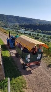 Gästehaus und Weingut Erich Serwazi Gästehaus und Weingut Erich Serwazi