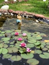 Haus Adams - Das Wohlfühl Gästehaus  Haus Adams - Das Wohlfühl Gästehaus