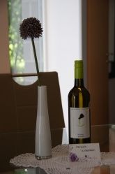 Ferienwohnung Mosel Ferienwohnung Mosel