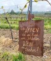 Weinbau & Ferienwohnung Weingärtner