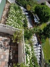 Komfort-Ferienwohnungen Pfeifer Komfort-Ferienwohnungen Pfeifer