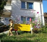 Komfort-Ferienwohnungen Pfeifer Komfort-Ferienwohnungen Pfeifer