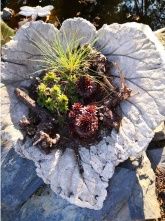 Evas Moselblick - Ferienwohnung 1 Evas Moselblick - Ferienwohnung 1