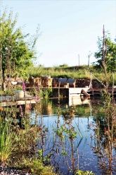 BioWeingut & Landhotel Gänz BioWeingut & Landhotel Gänz