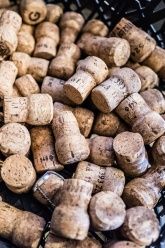 Weinstube und Gästehaus Sigrid Kaul Weinstube und Gästehaus Sigrid Kaul