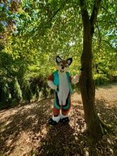 Camping Holländischer Hof Camping Holländischer Hof