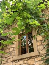 Nieder-Olmer Weinstube Nieder-Olmer Weinstube