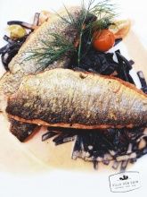 Hotel Villa von Sayn Hotel Villa von Sayn