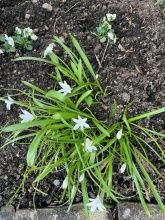 Ferienwohnung Opp der Holl Ferienwohnung Opp der Holl