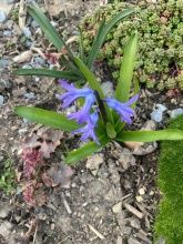 Ferienwohnung Opp der Holl Ferienwohnung Opp der Holl