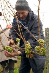 Während der Lese Während der Lese