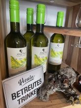 Weingut, Gästezimmer und Ferienwohnung Jörg Thul Weingut, Gästezimmer und Ferienwohnung Jörg Thul