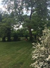 Ferienwohnung Bösch Ferienwohnung Bösch