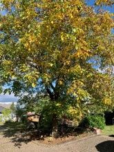 Ferienwohnungen Altes Zehnthaus Geierlay Ferienwohnungen Altes Zehnthaus Geierlay