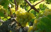 Weinhaus Arns Weinhaus Arns