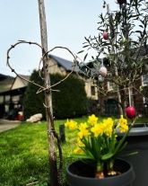 Weingut & Straußwirtschaft Comes Weingut & Straußwirtschaft Comes