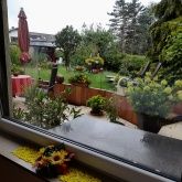 wie damals..... wie damals.....