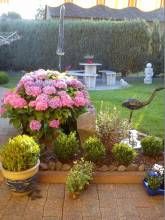 Ferienwohnungen Familie Schmitz Ferienwohnungen Familie Schmitz