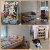 Weingut, Gästezimmer und Ferienwohnung Jörg Thul Weingut, Gästezimmer und Ferienwohnung Jörg Thul