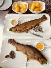 Hotel-Restaurant Forellenzucht Hotel-Restaurant Forellenzucht