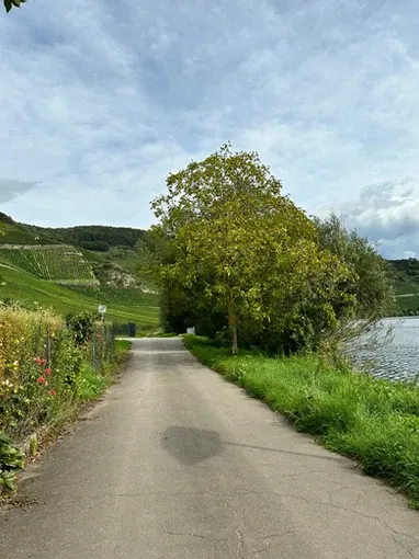 Ferienwohnung Moseldiamant Ferienwohnung Moseldiamant