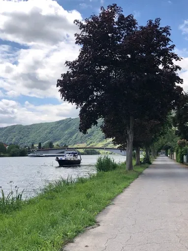 Ferienwohnung Moseldiamant Ferienwohnung Moseldiamant