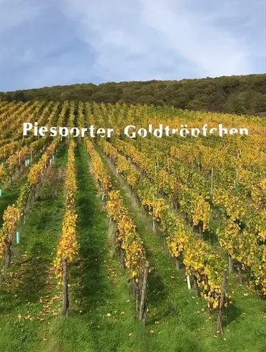 Ferienwohnung Moseldiamant Ferienwohnung Moseldiamant