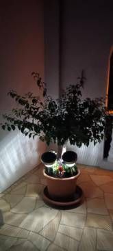 Ferienwohnung Bürgerhaus Zeltingen Ferienwohnung Bürgerhaus Zeltingen