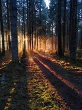 Gästehaus Wilder Mann