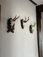 Fewo Burg Eltz Fewo Burg Eltz