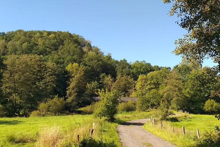 Appartement Eichhörnchen im Haus Eifelstein