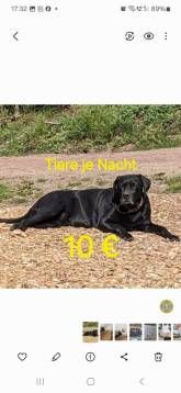 Ferienwohnung Bohnert-Arias