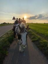 Ferienhaus am Ponyhof