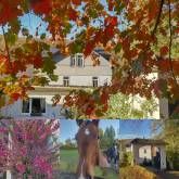 Gästehaus Etzauer Mühle