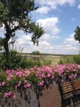 Ferienunterkünfte Am Backhausgarten Ferienunterkünfte Am Backhausgarten